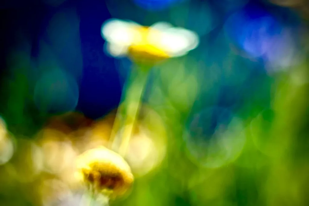 Torsten Gripp | Im Garten | Farbe berührt | 2025